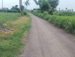 KETUA LSM PENJARA INDONESIA DPC SITUBONDO SOROTI PROYEK LAPEN DI DESA PALANGAN, KECAMATAN JANGKAR