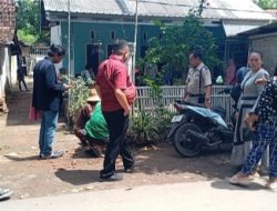 Sengketa Lahan 158 Hektare di Situbondo Diuji Lewat Gugatan Perlawanan: Tantangan Kepastian Hukum dalam Proses Eksekusi