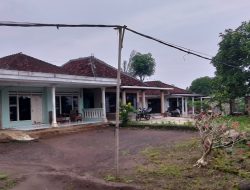 Kabel PLN Bergelantungan Rendah Belum  Ada Tanda Diperbaiki samapai Sekarang 