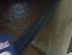 Di Bangsring Puluhan Rumah Terendam Air Banjir Akibat Diguyur Hujan Semalam 