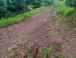 Jalan Desa Tertinggal Belum Pernah Dapat Perbaikan Sepanjang Tahun 