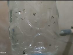 Warga Patokan keluhkan air PDAM Tirta Baluran