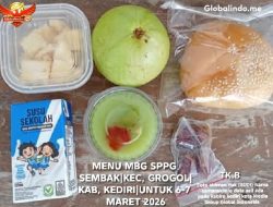 Makan Bergizi atau Proyek Kroni? Karut-Marut MBG, Publik Bertanya: Menkes, BGN, Polisi, TNI, dan Pemda Tahu atau “Kura-Kura Dalam Perahu”?