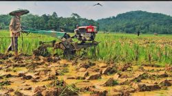 Petani Wongsorejo Keluhkan Proses Barcode BBM Subsidi Lambat,,,Kerja Petani Tertunda