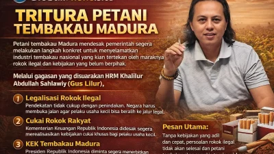 TRITURA Petani Tembakau Madura: Blueprint Rekonstruksi Industri dalam Tekanan Fiskal dan Bayang-Bayang Ilegalitas