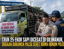 Dokumen KH-1 Diduga Palsu, Truk Angkut 25 Sapi Tujuan Luar Bali Dicegat di Gilimanuk