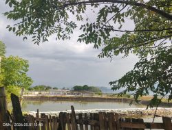 Diduga tak kantongi PBG dan IPAL tambak didesa Peleyan jadi sorotan.